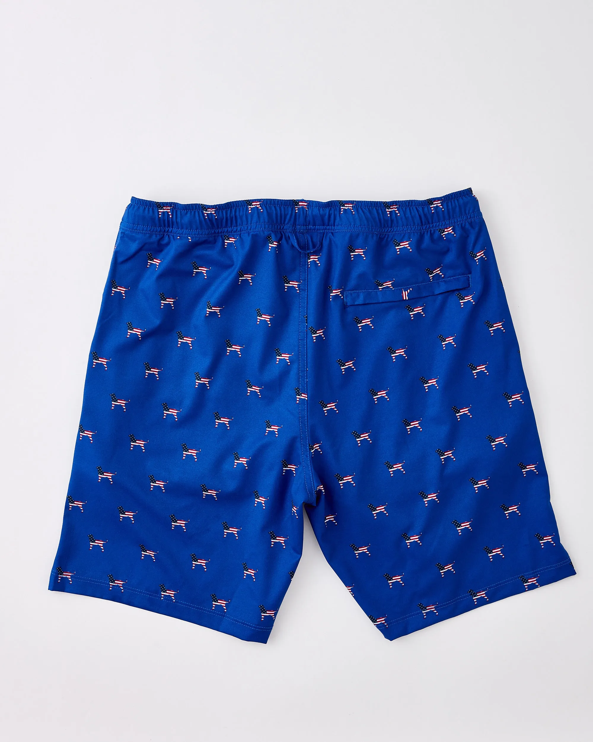 Boys Black Dog USA Swim Trunk